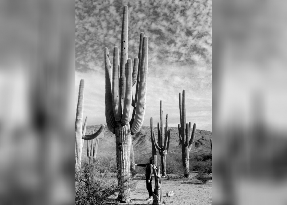 Arizona